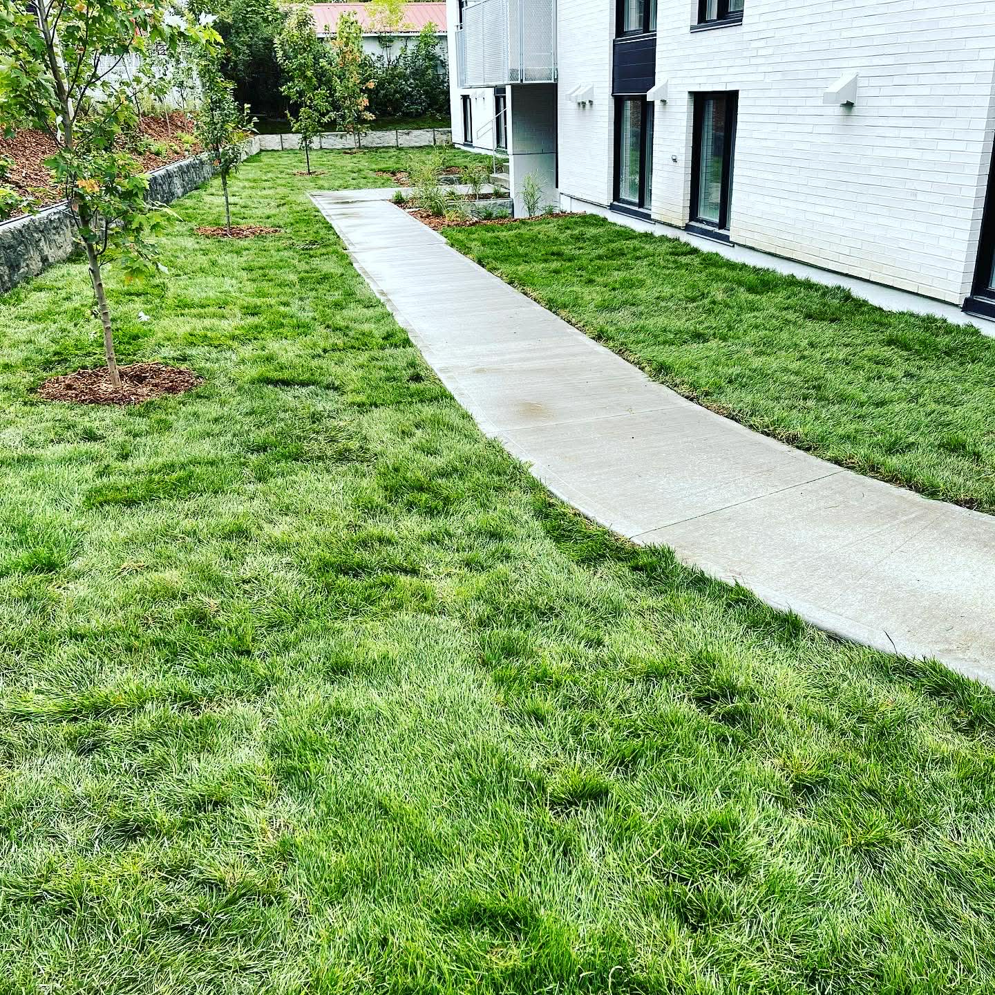 10cb1330-5c3b-4b0c-87e9-b65e5b045b0b