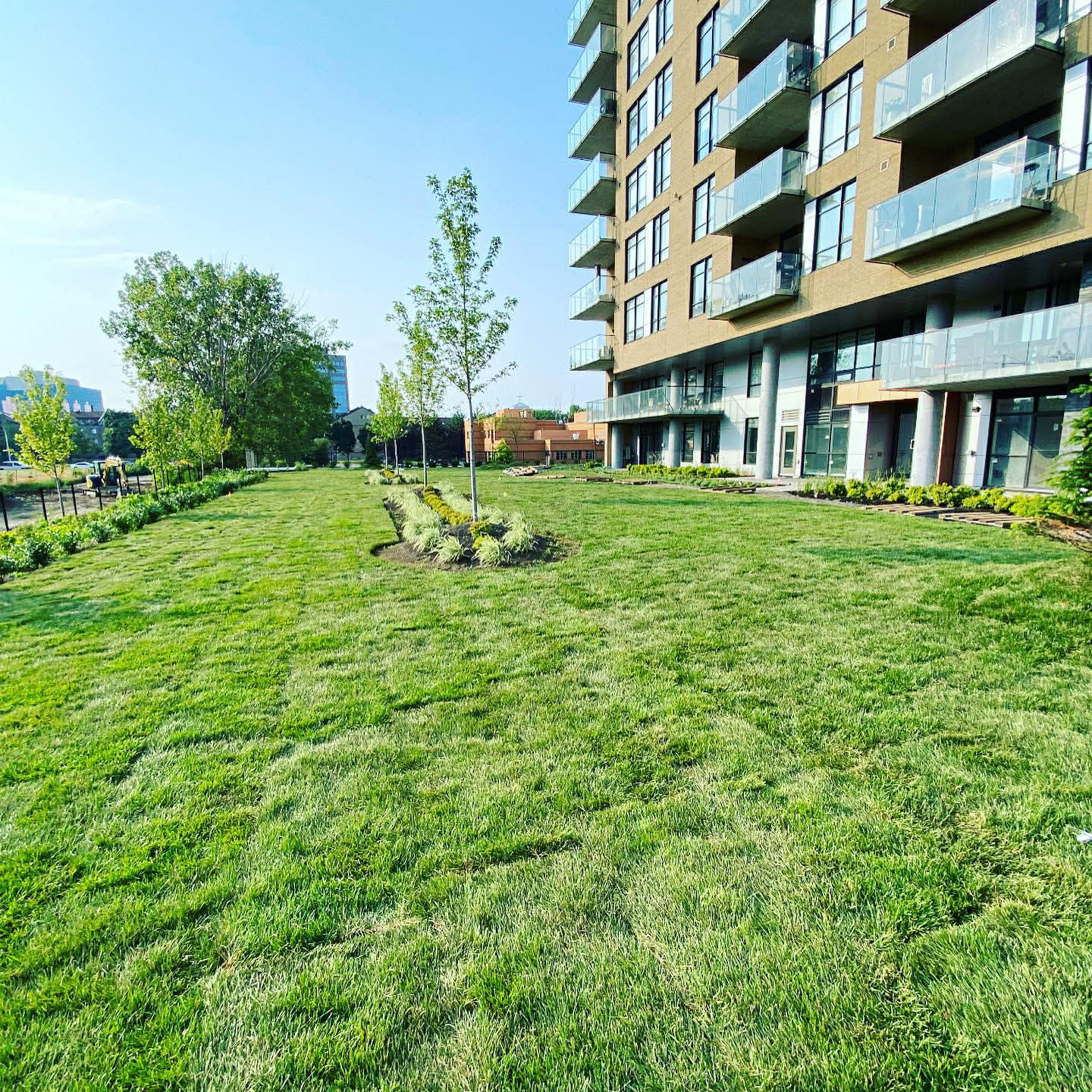 86485def-825a-4001-be58-637fc7d64a3e