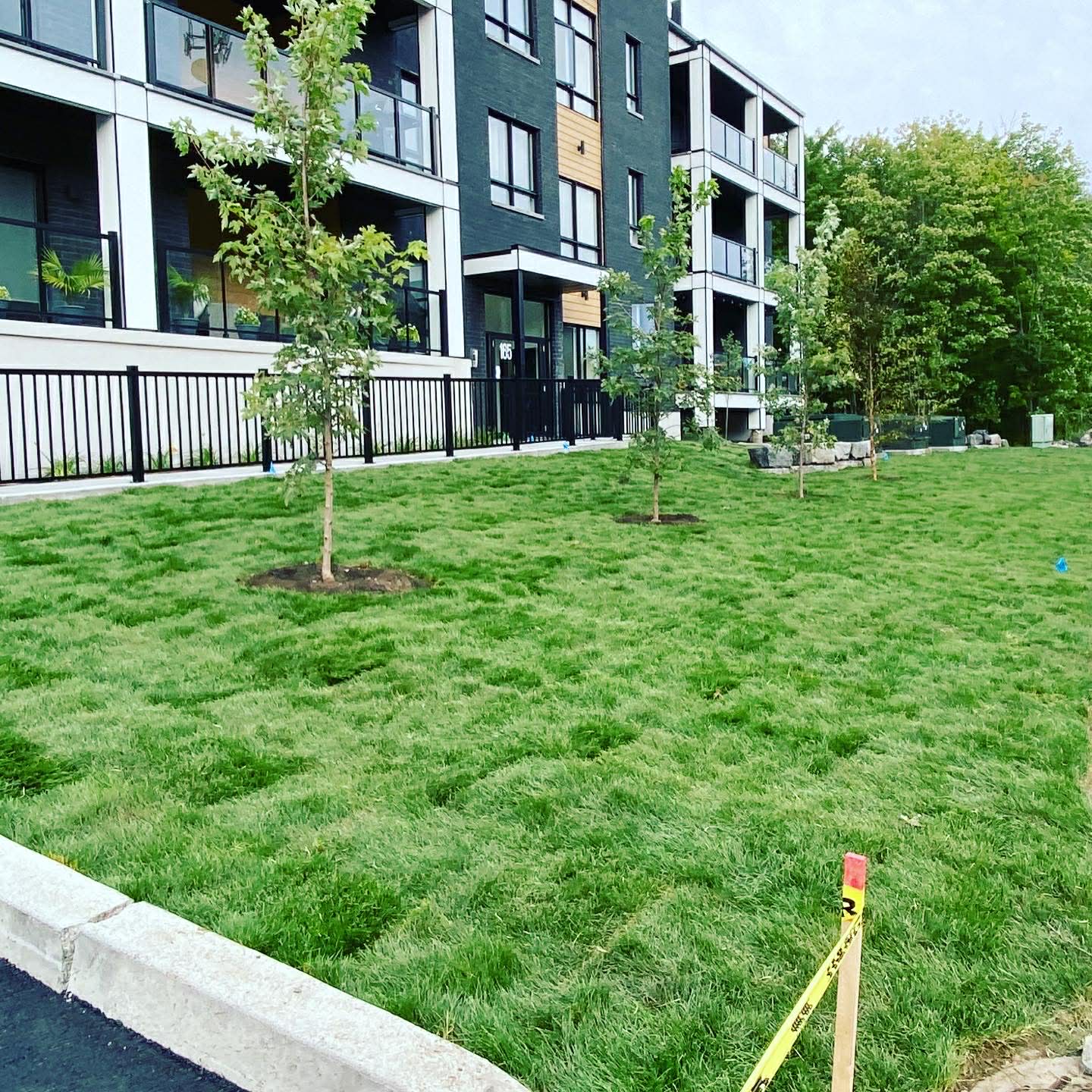 87a3f62f-1062-4e01-936b-a6e1e9032fb0